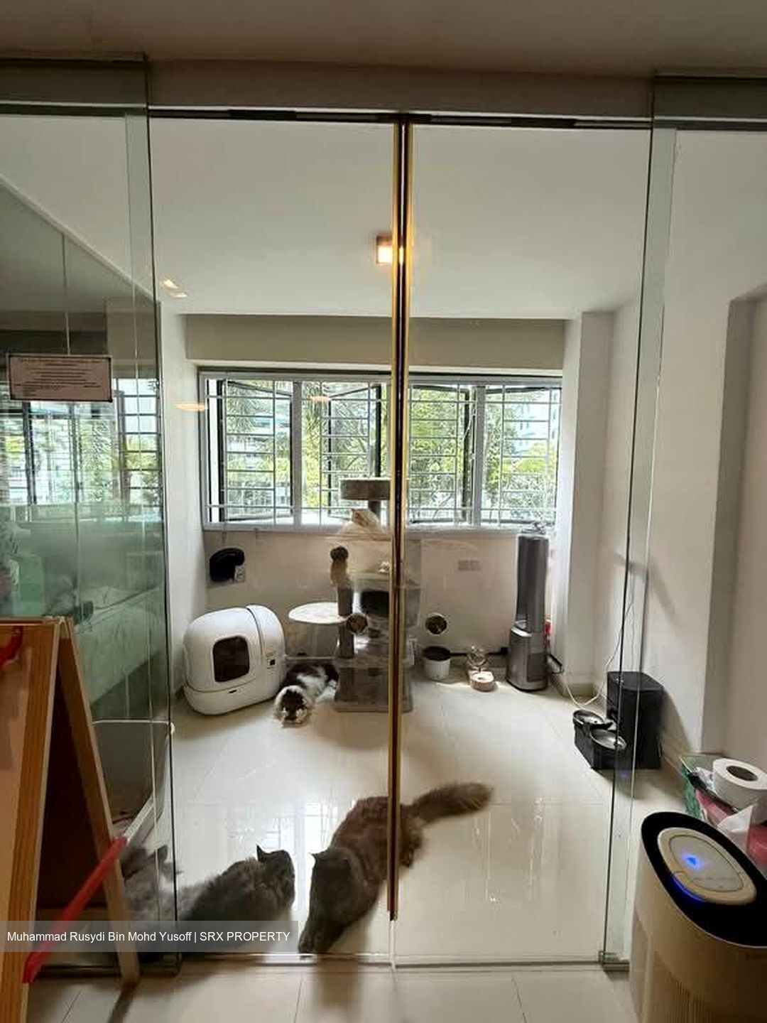 Blk 501D Montreal Spring (Sembawang), HDB Executive #560352091